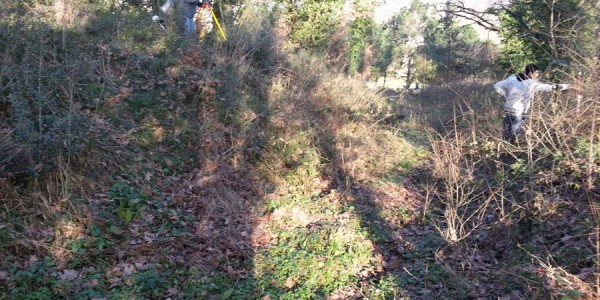 Fortek Mühendislik 1