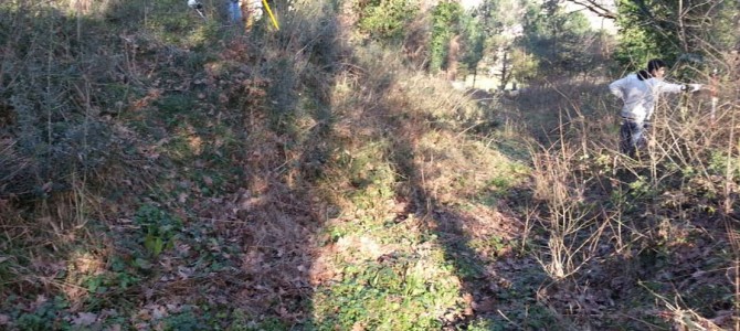 Fortek Mühendislik 1